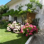 Tianri קורצולה