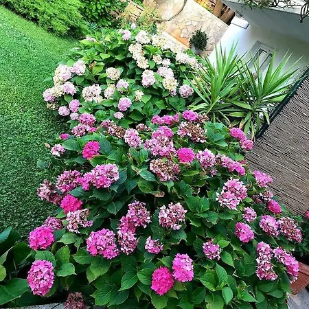 Tianri 아파트 *