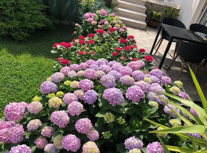 Tianri Apartament Korčula