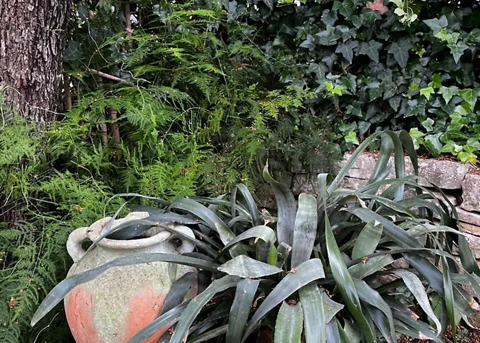 Tianri Apartament Korčula