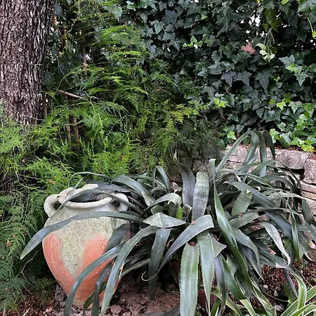 Tianri דירה קורצולה