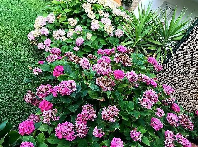 Tianri Appartement *